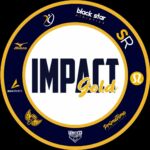 Impact Gold Fastpitch™ 🥎